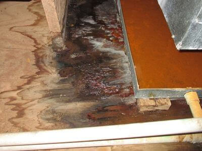 About water damage restoration service - basement flood restoration services experts in Stratford